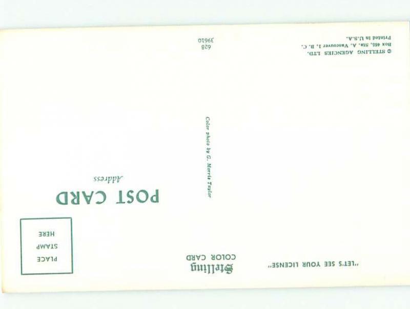 Pre-1980 BEAR STANDING ON OLD CAR AC7051