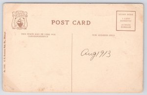 Elgin Illinois~Gail Borden Public Library~Vintage Postcard