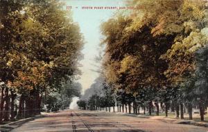 SAN JOSE, CA California  NORTH FIRST STREET SCENE Tree Lined  c1910's Postcard