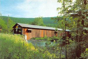 Forksville Covered Bridge - Sullivan County, Pennsylvania