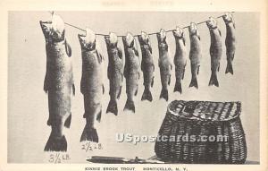 Kinnie Brook Trout Monticello NY Unused
