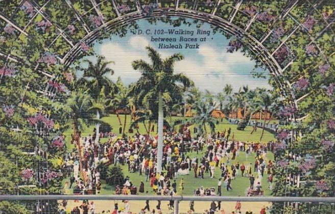 Florida Miami Hialeah Park Walking Ring Between Races Curteich