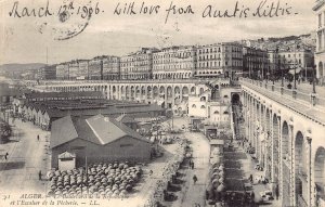 A614 Algeria Alger Algiers 1906 Bd de Republique l'Escalier Pecherie pos...