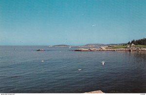 INDIAN HARBOR , Nova Scotia , Canada , 1950-60s