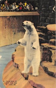 St. Louis Missouri 1943 Postcard Polar Bear Pit Forest Park ZOO