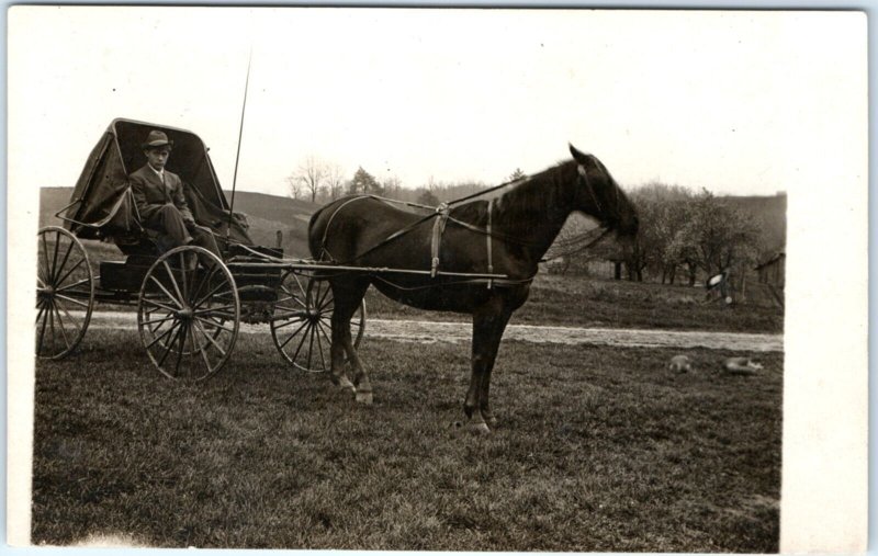 c1900s Handsome Young Man RPPC Stylish Cool Horse Carriage Real Photo Cats A135