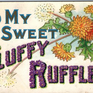 c1910s Funny To My Sweet FLUFFY RUFFLES Embossed +Dandelion Weeds Flowers A228