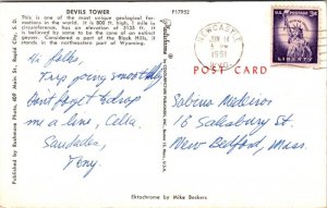 Devils Tower Geological Formations Horses Animals Forest PM Newcastle Postcard