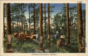 Atmore Alabama Rosin Gum Harvest Turpentine C TEICH c1930-50s Vintage Postcard