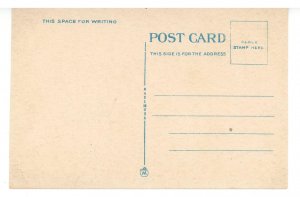 Good Day's Hunt in Florida.  Dogs & Deer