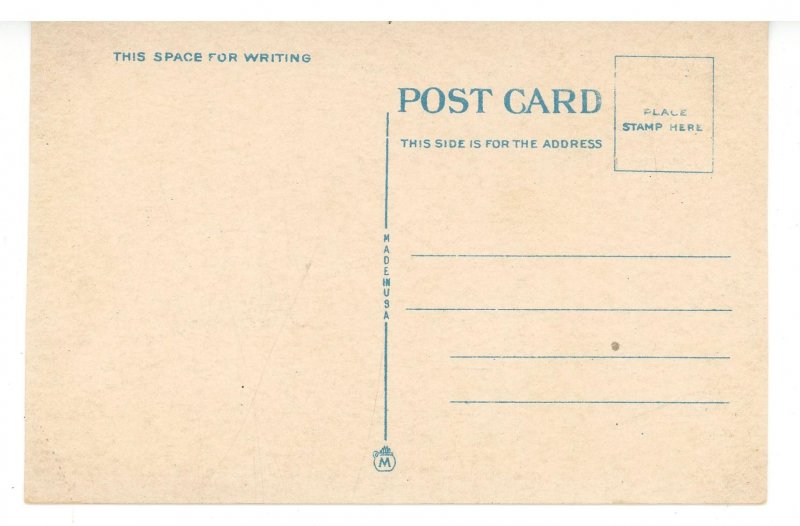 Good Day's Hunt in Florida.  Dogs & Deer