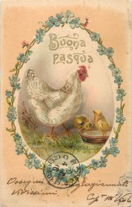 Embossed Easter greetings fantasy postcard hen chicks 1900 Buona Pasqua