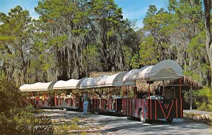 Weeki Wachee's Covered Wagon Train Spring of Live Mermaids - Weeki Wachee, Fl...