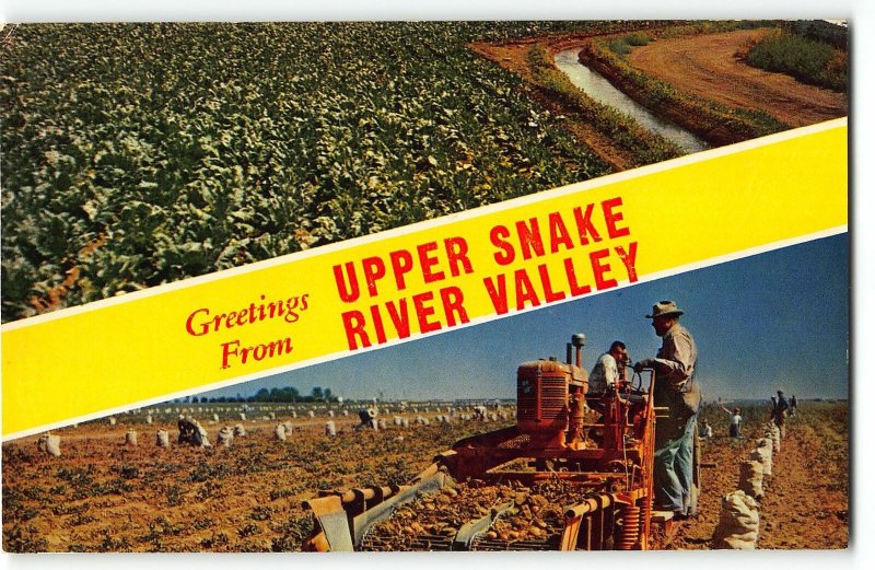 Greetings from UPPER SNAKE RIVER VALLEY Idaho Farming - Vintage Postcard