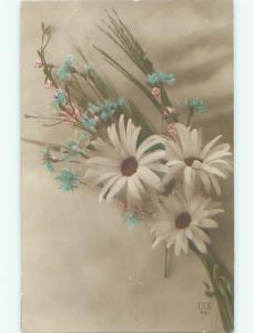 tinted rppc c1910 BEAUTIFUL FLOWERS AC9335