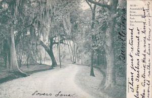 Automobile Drive Brackenridge Park San Antonio Texas 1908