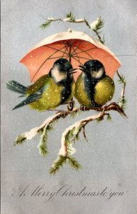 Postcard Christmas  two birds Great Tit under umbrella snow