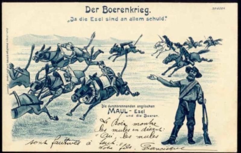 BOER WAR, Caricature, The (English) Donkeys should be Blamed for All (1899) (2)