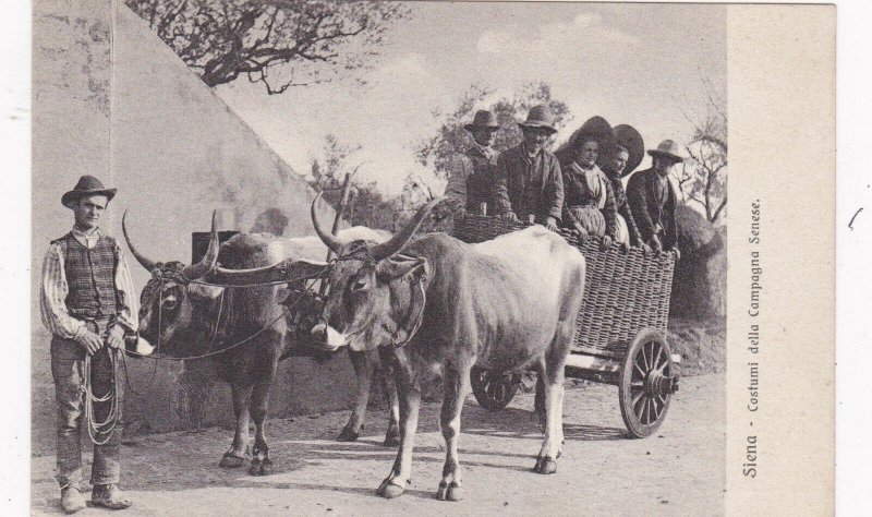 Italy Siena Typical Ox Cart sk3840