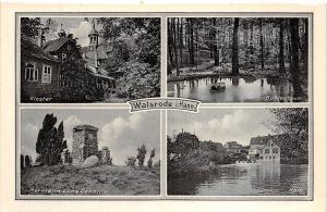 BG25273 walsrode i hann   germany