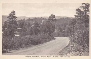 New Mexico Raton Scenic Highway Raton Pass Albertype