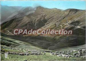 Postcard Modern Paturages to Col d'Allos (BA) Alt 2250m Col laces and wide Se...