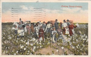 F85/ Waco Texas Postcard 1924 Picking Cotton Fields Occupational