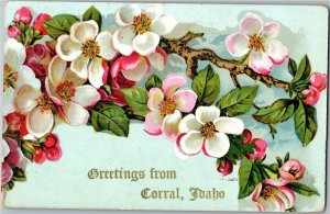 Greetings from Corral, ID Floral Vintage Postcard B80