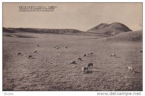 Kusasenri Prairie, Japan , 1910-20s