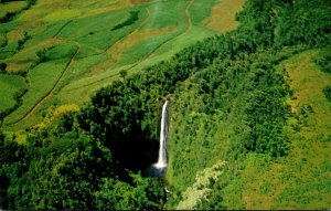 Hawaii Akaka Falls