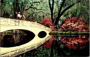 Vtg Charleston South Carolina SC Bridge in Magnolia Gardens 1950s Postcard