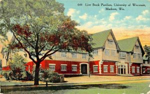 MADISON WISCONSIN~UNIVERSITY LIVE STOCK PAVILION 1911 PSTMK AGRICULTURE POSTCARD