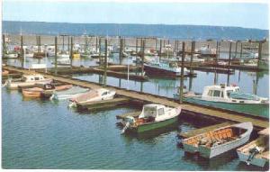 Homer, Alaska, AK, New Boat Harbor, Chrome