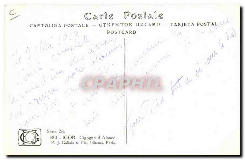 Old Postcard Folklore Alsace Igor Stork d & # 39Alsace