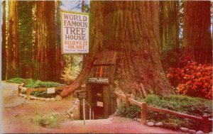 World Famous Tree House near Laytonville CA Redwood Highway Unused Postcard H40