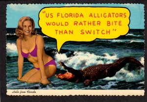 FL Hello From Florida Risque Alligators Rather Bite Than Switch Postcard Comic