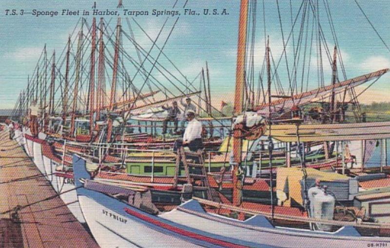 Florida Tarpon Springs Sponge Fleet In Harbor 1953 Curteich