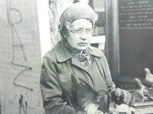 Old Scottish Lady Feeding Pigeons Aberdeen 1995 Vtg Postcard Dorine F Bosman