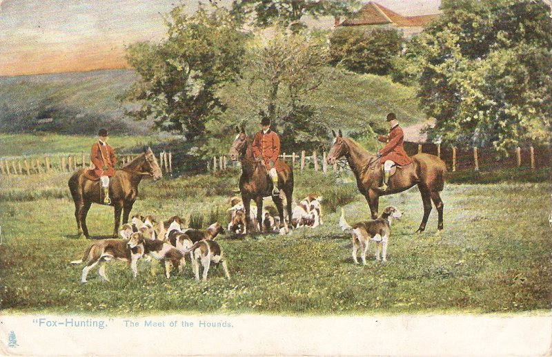 Fox Hunting. The Meet of the Hounds Tuck Photochrome AnimalLife Ser. PC # 1420