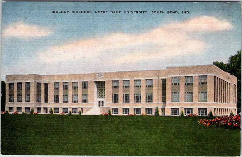 Postcard SCHOOL SCENE South Bend Indiana IN AM5156