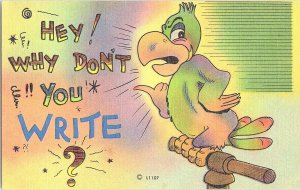 Hey! Why Don't You Write? Vintage Comic Postcard Standard View Card 