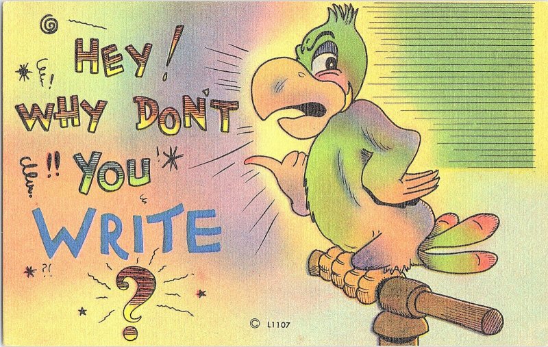 Hey! Why Don't You Write? Vintage Comic Postcard Standard View Card 