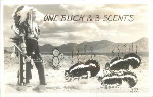 Postcard 1940s Native American Indian Skunks Frasher humor RPPC 23-742 