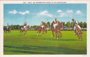 Polo An Interesting Sport In The Southland