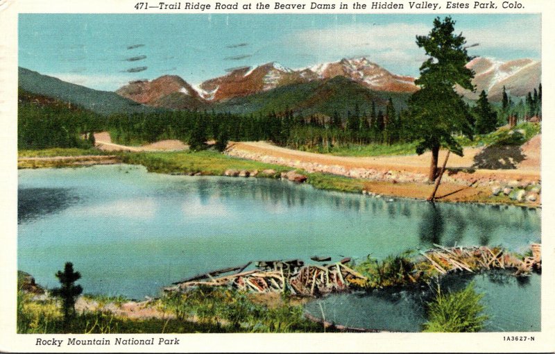 Colorado Estes Park Trail Ridge Road At The Beaver Dams In The Hidden Valley ...