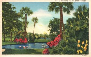 Vintage Postcard A Tropical Beautiful Spot Trees Flowers Natures Florida FL
