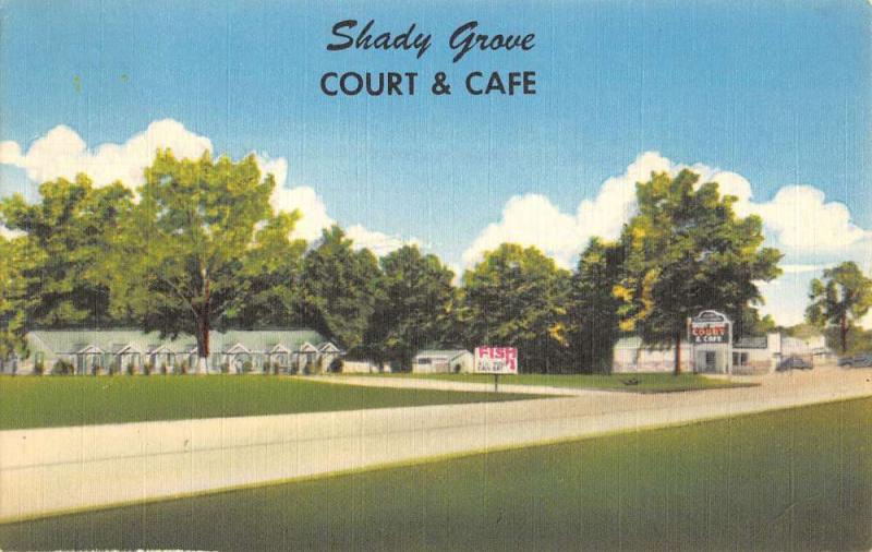shady grove court and cafe DeQueen  arkansas L4446 antique postcard