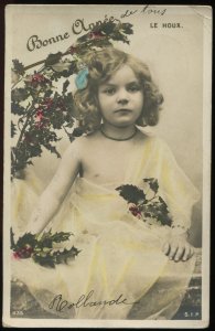 Bonne Annee. Happy New Year. Le Houx (Holly). Tinted RPPC. S.I.P. undivided back