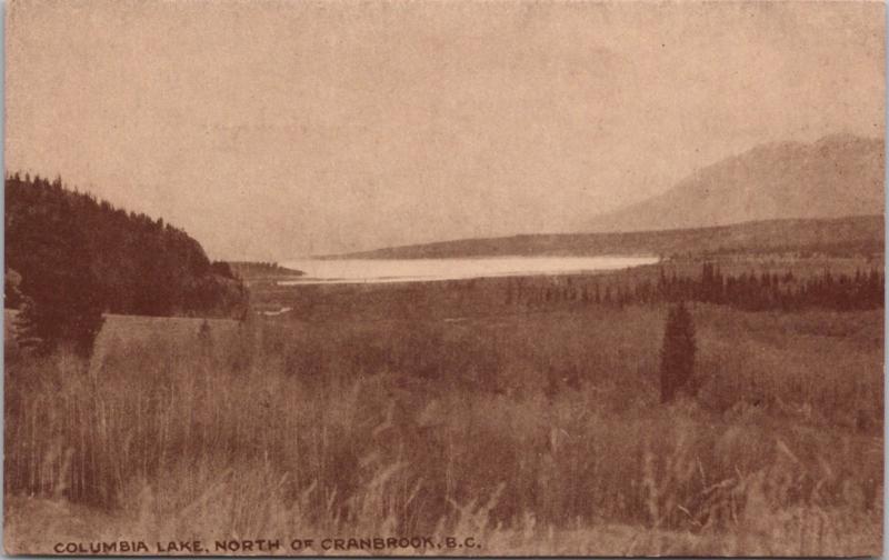 Columbia Lake North of Cranbrook BC Beatty Murphy Co. Vintage Postcard D61