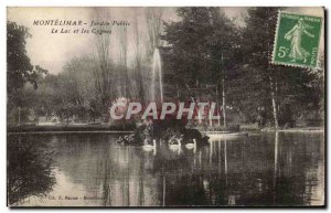 Postcard Old Montelimar Public Garden Lake and Swans